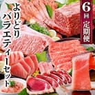 定期便6回配送　よりどりバラエティーセット　GG5-0004