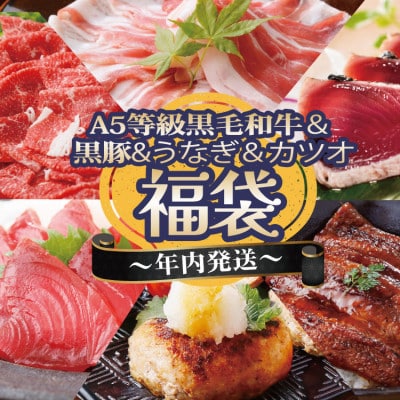 【年内発送】福袋 A5ランク黒毛和牛・うなぎ・黒豚・カツオ 贅沢詰め合わせ B8-24