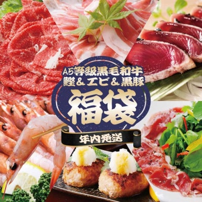 【年内発送】福袋 A5ランク黒毛和牛・タカエビ(薩摩甘エビ)・黒豚・カツオ 贅沢詰合わせ B8-24