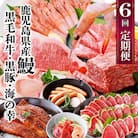定期便(6回配送)　鹿児島県産うなぎ・黒毛和牛・黒豚・海の幸　HH5-0001