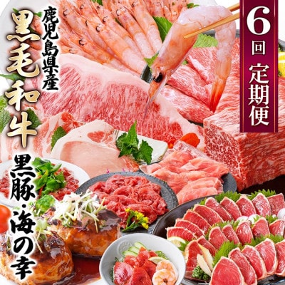 定期便(6回配送)　鹿児島県産黒毛和牛・黒豚・海の幸　HH5-0001