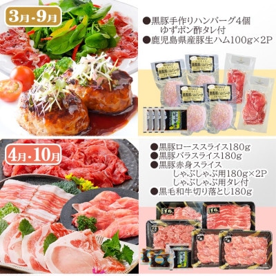 定期便(6回配送)　鹿児島県産黒毛和牛・黒豚・海の幸　HH5-0001
