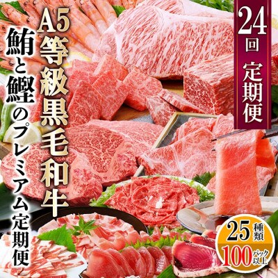 毎月2回(1年で24回)配送　盛りだくさんの贅沢定期便MM50-0001