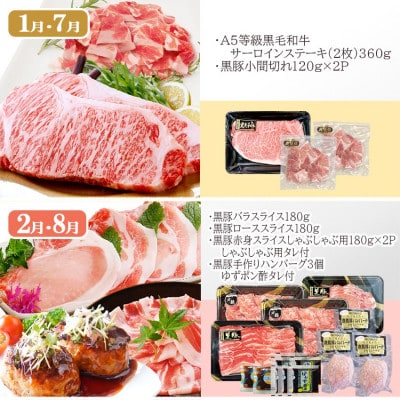 お肉とお魚　お楽しみ定期便　6回配送JJ10-0002