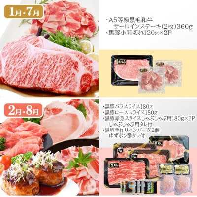 お肉とお魚　お楽しみ定期便　6回配送JJ10-0002