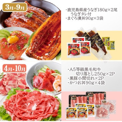 お肉とお魚　お楽しみ定期便　6回配送JJ10-0002