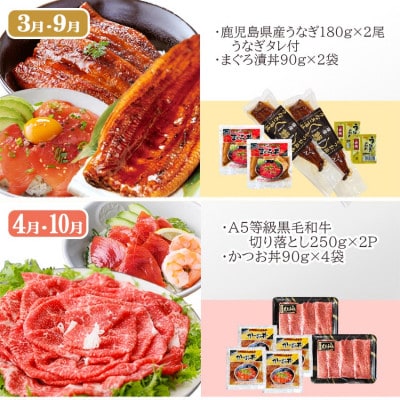 お肉とお魚　お楽しみ定期便　6回配送JJ10-0002