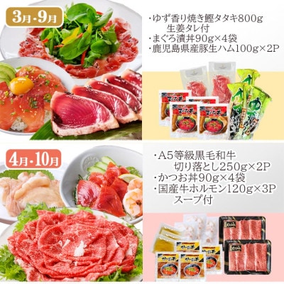 お肉とお魚　お楽しみ定期便　6回配送JJ10-0002