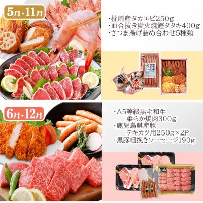 お肉とお魚　お楽しみ定期便　6回配送JJ10-0002