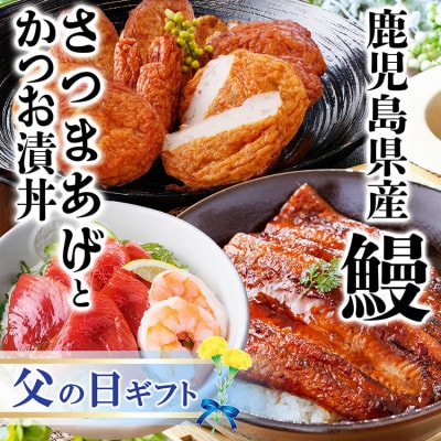 【父の日】鹿児島県産うなぎとさつま揚げとかつお丼セットA4-6F