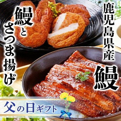 【父の日】鹿児島県産うなぎとさつま揚げ　大サイズ鰻1尾と3種類のさつま揚げ12枚入りA2-16F