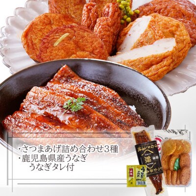 【父の日】鹿児島県産うなぎとさつま揚げ　大サイズ鰻1尾と3種類のさつま揚げ12枚入りA2-16F