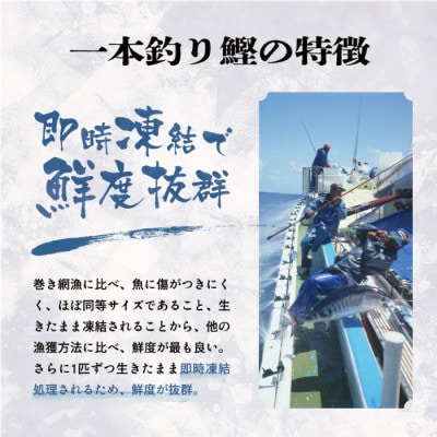 【数量限定】訳あり 一本釣りゆず香り焼きタタキ500g(タレ付き)50周年記念商品限定 X0-15