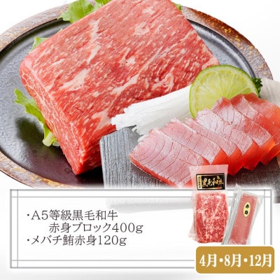 定期便2回配送　黒毛和牛・黒豚　赤身セット　CC0-0013