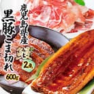 鹿児島W名物!鰻360g(2尾)×黒豚小間切れ600g(120g×5P)　人気セット　B3-110
