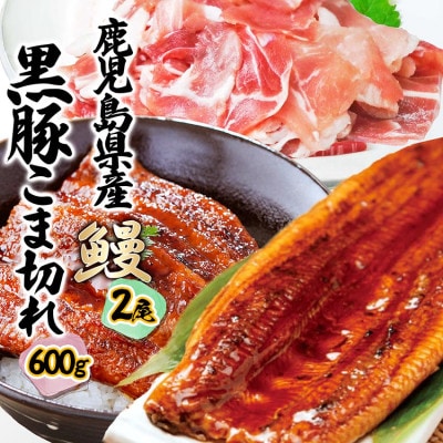 鹿児島W名物!鰻360g(2尾)×黒豚小間切れ600g(120g×5P)　人気セット　B3-110