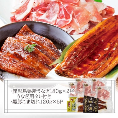 鹿児島W名物!鰻360g(2尾)×黒豚小間切れ600g(120g×5P)　人気セット　B3-110