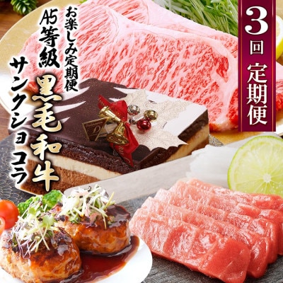 【数量限定】3回定期便　A5等級黒毛和牛・サンクショコラ　EE0-0008