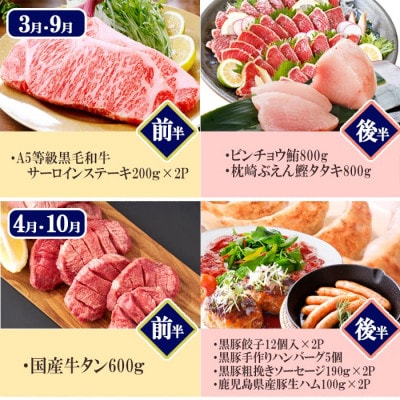 プレミアム定期便　枕崎産天然伊勢海老　鹿児島県産　黒毛和牛・黒豚　うなぎ　海の幸　24回配送