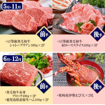 プレミアム定期便　枕崎産天然伊勢海老　鹿児島県産　黒毛和牛・黒豚　うなぎ　海の幸　24回配送