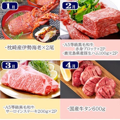 豪華定期便 12回配送　枕崎産伊勢海老　鹿児島県産黒毛和牛　黒豚
