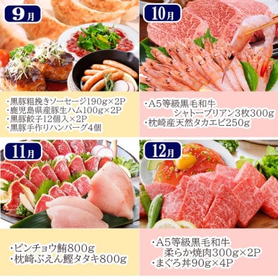 豪華定期便 12回配送　枕崎産伊勢海老　鹿児島県産黒毛和牛　黒豚 LL40-0001