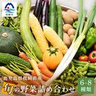 鹿児島県枕崎産旬の野菜の詰め合わせ(6～8種類) 野菜セット 国産 九州 厳選 A3-291