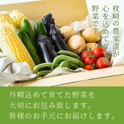 鹿児島県枕崎産旬の野菜の詰め合わせ(6～8種類) 野菜セット 国産 九州 厳選 A3-291