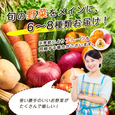 鹿児島県枕崎産旬の野菜の詰め合わせ(6～8種類) 野菜セット 国産 九州 厳選 A3-291