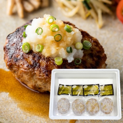 【鰹・豚】お好みAセット枕崎産かつおたたき500g・黒豚ハンバーグ4個(計500g) B3-67