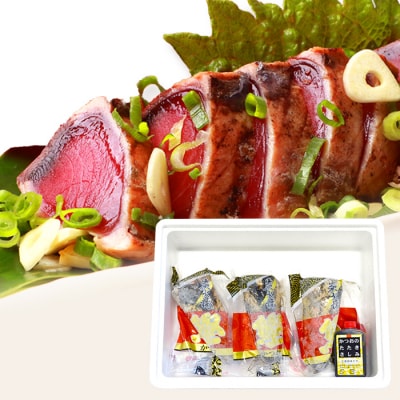 【鰹・豚】お好みAセット枕崎産かつおたたき500g・黒豚ハンバーグ4個(計500g) B3-67