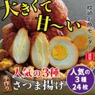 枕崎 お魚センター 【手作り さつま揚げ】 たまご チーズ コーン A3-293