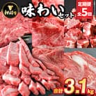 【毎月定期便】枕崎牛味わいセット(赤身ブロック・ステーキ・もも・カルビ等)JJ10-0001 全5回