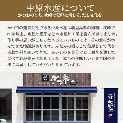 【のし付き・お歳暮】おだし調味料フルコースセット【合計6種】枕崎おだし本舗「かつ市」 A8-75S