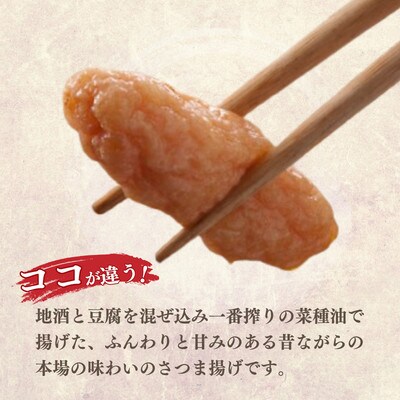 無添加 甘さ控えめ 本場薩摩のこだわりさつま揚げ詰合せ　お試し X0-31