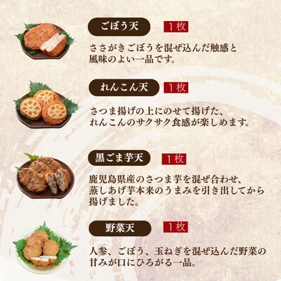無添加 甘さ控えめ 本場薩摩のこだわりさつま揚げ詰合せ　お試し X0-31