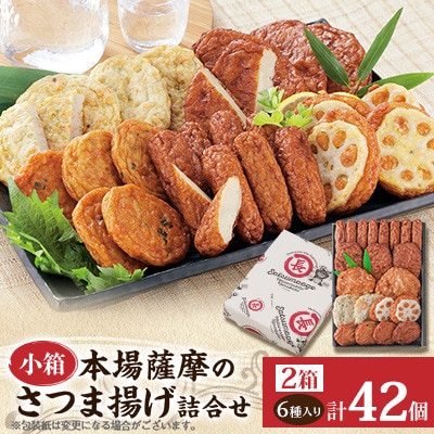 本場さつま揚げ 詰め合わせ【6種類×2箱(小箱)】 Z0-66