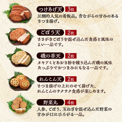 本場さつま揚げ 詰め合わせ【6種類×2箱(小箱)】 Z0-66