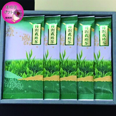 【母の日】特別栽培茶 (深蒸し茶) 5袋 セット 化粧箱入り B3-48M