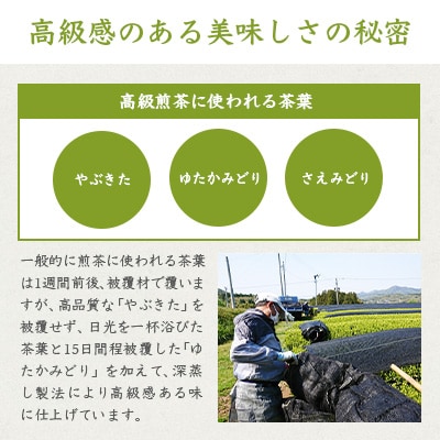 お茶の老舗“厚石園”『高級深蒸し茶セット』  ギフト A3-97
