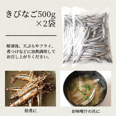 枕崎産 きびなご【合計2kg】冷凍 一夜干し 唐揚げ用 詰め合わせ A3-110