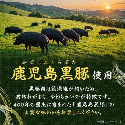鹿児島県産黒豚 ほどける 黒豚の角煮【約200g×2P】 A1-4
