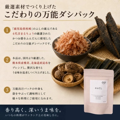 おだし(8g×10P) 10袋 BE84