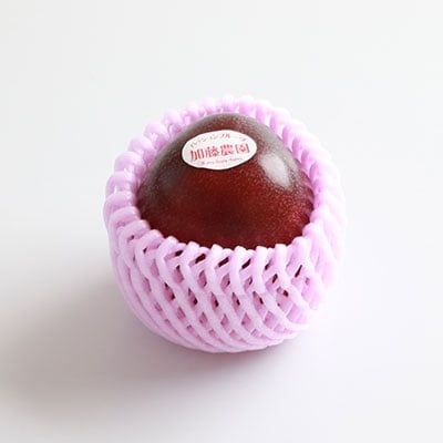 【先行受付】トロピカルパッションフルーツ約1.5Kg  A3-50
