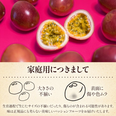 【先行受付】【訳あり】トロピカルパッションフルーツ約3Kg B3-111