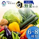 枕崎には野菜もある!!定番・旬のお試し野菜セット　Z0-27