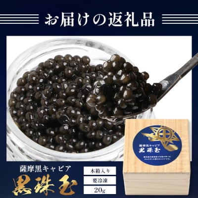 【数量限定】薩摩黒キャビア黒珠玉 鹿児島水産高校 枕崎キャビア【木箱入り】【20g×1箱】 C3-2