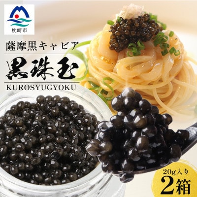 【数量限定】薩摩黒キャビア黒珠玉 鹿児島水産高校 枕崎キャビア【木箱入り】【20g×2箱】 F5-3