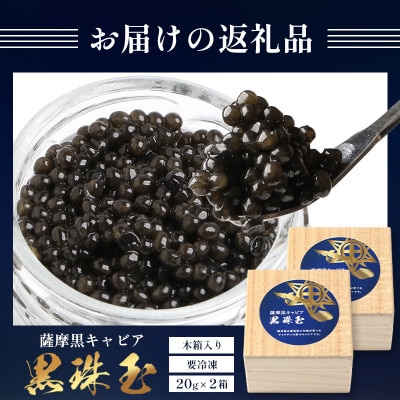 【数量限定】薩摩黒キャビア黒珠玉 鹿児島水産高校 枕崎キャビア【木箱入り】【20g×2箱】 F5-3