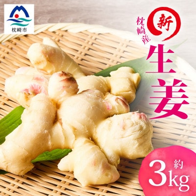 【先行受付】枕崎産 新生姜 約3kg(国産・農家直送)【2026年9月上旬より順次発送】 A3-38
